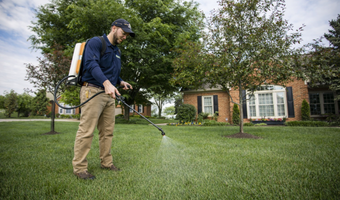 Lawn pest and weed control service
