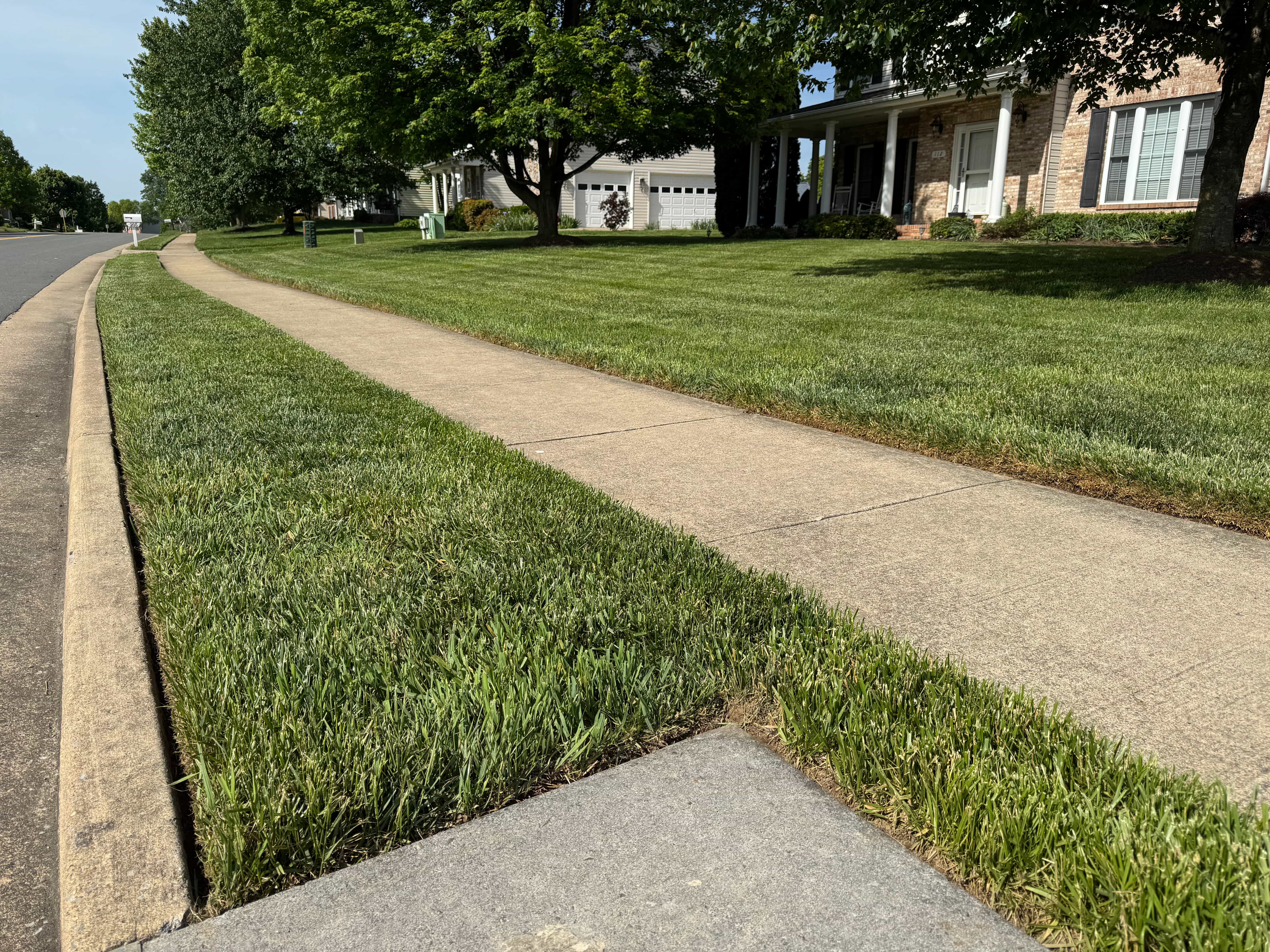 Lawn care service results in the Shenandoah Valley